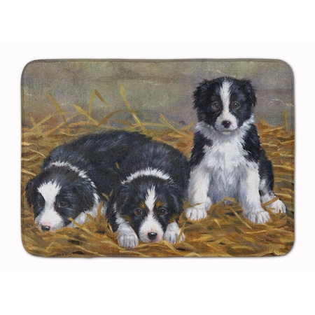 Carolines Treasures Border Collie Puppies Machine Washable Memory Foam Mat ASA2196RUG